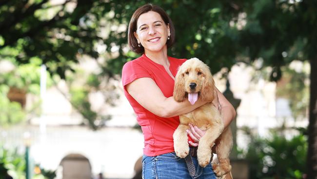 LNP leader Deb Frecklington says making it a specific offence to leave a dog in a hot car would make it easier to take callous pet owners to court. Picture: AAP/Claudia Baxter