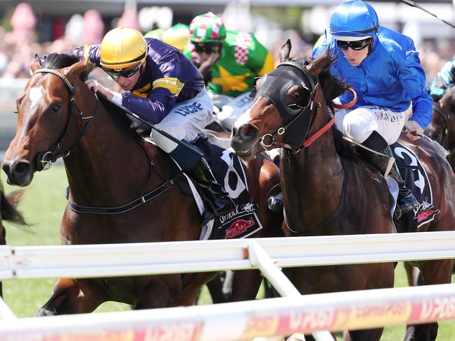 Hilo (right) meets an easier field here on the back of solid racing in Sydney.