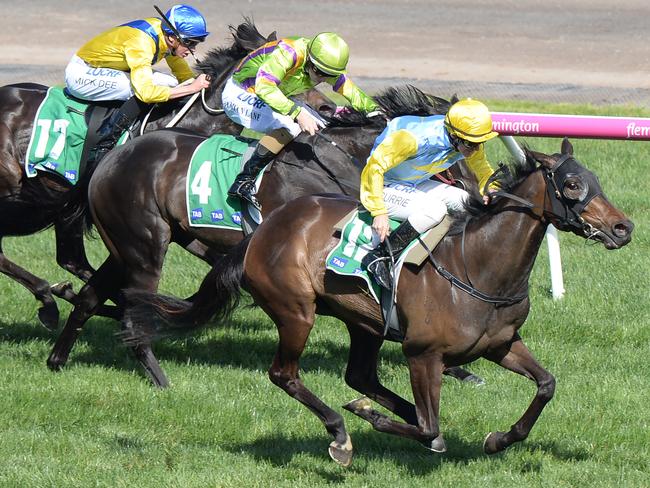 Jockey Luke Currie and Bring Me Roses bag the Edward Manifold Stakes. Picture: AAP