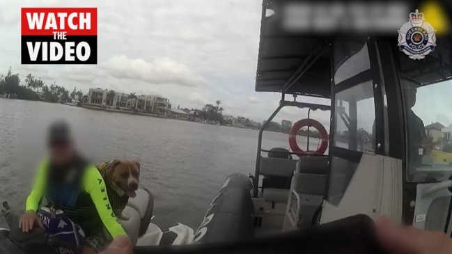 Dog is a pillion passenger on jetski