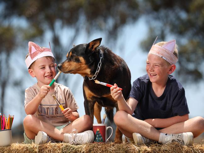 Country kids Oliver, 5, and Harvey, 7, with Paddy the kelpie at Cressy. Picture: David Caird