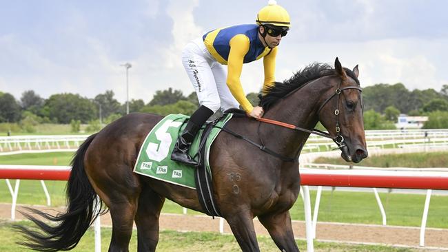 Hawkesbury, 13 February 2024, Winner - Bonita Queen, Jockey - Adam Hyeronimus. Picture: Bradley Photos