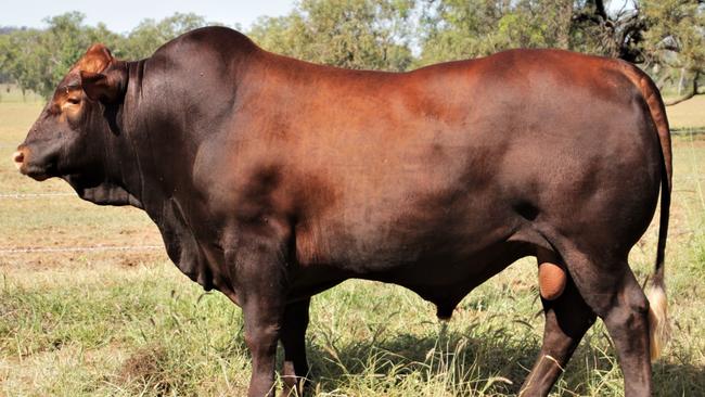 Farmers affected by drought are expected to be able to apply for a three month extension on their overdue rates bill before interest starts racking up.