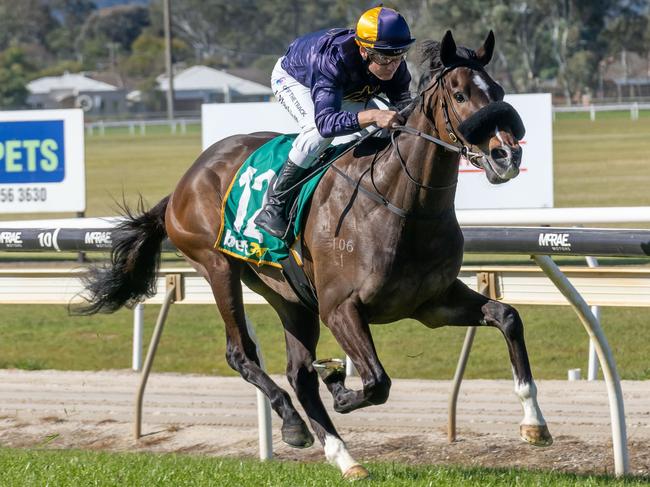 Opening Address (NZ) ridden by Jason Maskiell wins the GJ Gardner Homes Maiden Plate at Wodonga Racecourse on September 17, 2024 in Wodonga, Australia. (Photo by Jay Town/Racing Photos via Getty Images)