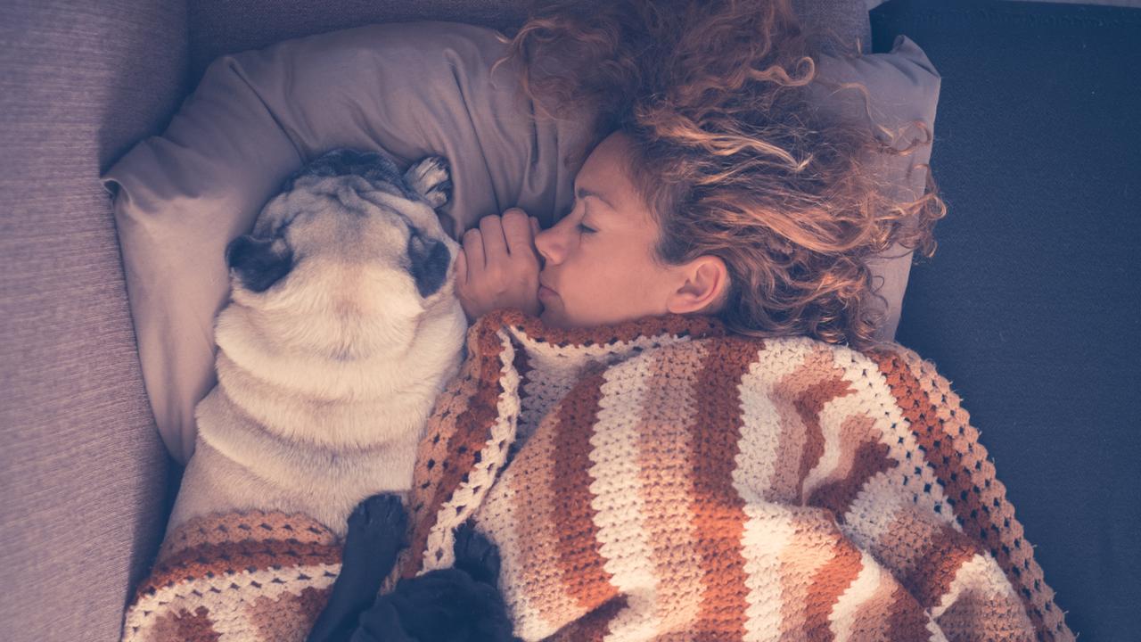 Many pet owners prefer their pets for night-time company. Picture: iStock