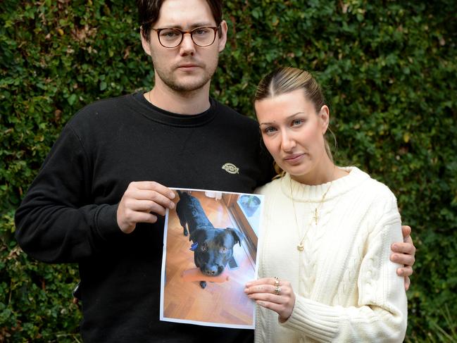 Lucas Brown and Courtney Beaumont with a picture of their dog Leo. Picture: Andrew Henshaw