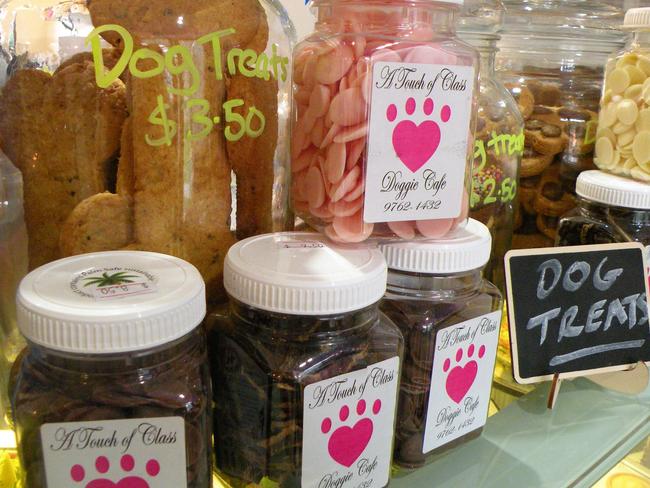 Dogs will be spoiled for choice at this cafe. Picture: Zoe Powell