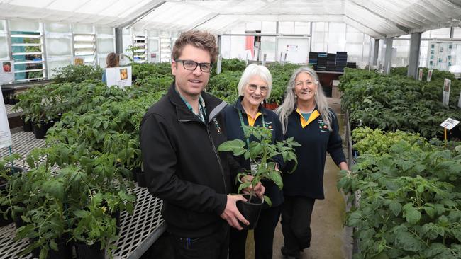 Manager of commercial operations, Joe Pickett with volunteers Clare Handbury and Diane Furlani at the Royal Tasmanian Botanical Gardens in Hobart for the big yearly sale of tomatoes. Picture : Mireille Merlet