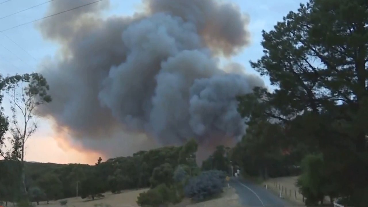 Adelaide Hills Fire Threat Eases 