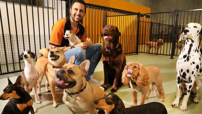 Owner Daniel Spooner with his best friends at Dogcity Day Care, which has been nominated for an Eastside Business Award. Picture: AAP/Dean Martin