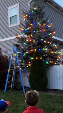 Kids confuse neighbours tree for their Christmas tree