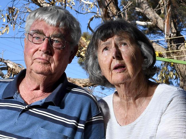 ST KILDA'S DYING TREES. Kevin and Marilyn Collins with the large tree on their property that died this week, at the northern end of St Kilda. Pictured on their St Kilda property on the 5th April, 2021. Picture: Tricia Watkinson