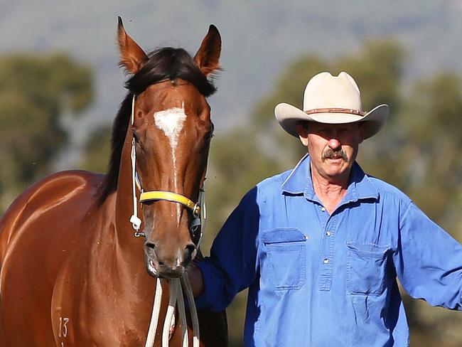 Scone trainer Greg Bennett and stable hands Katrina Eveleigh and Matt Campbell with Country Championships contenders  Invienna, Clearly Innocent, Chivadahlii and All Summer Long. Picture by Peter Lorimer.