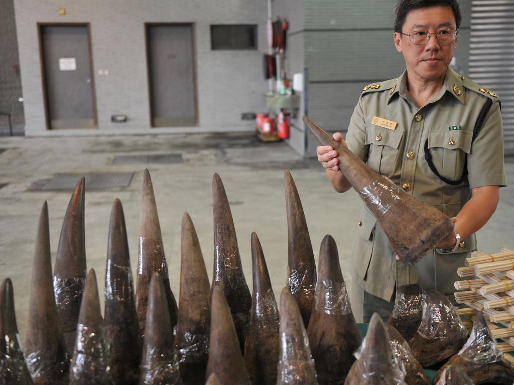 In 2011 a rodeo cowboy, a Chinese businessman, a Vietnamese nail salon owner and a US antiques expert were among eight people snared in the largest rhino horn smuggling bust in US history. Picture: Aaron Tam
