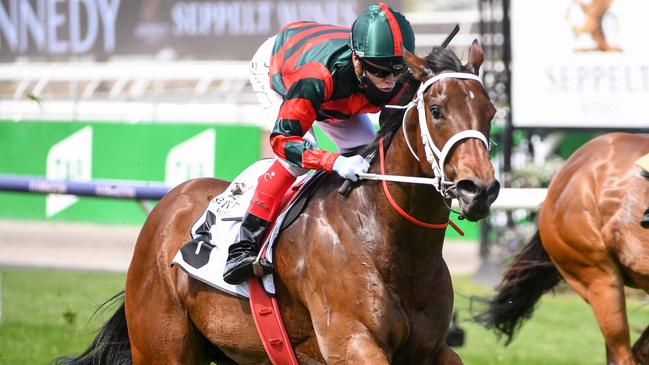 September Run loves the Flemington straight. Picture: Getty Images