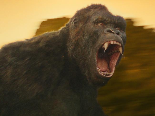 Scene from King Kong: Skull Island. Village Roadshow films.