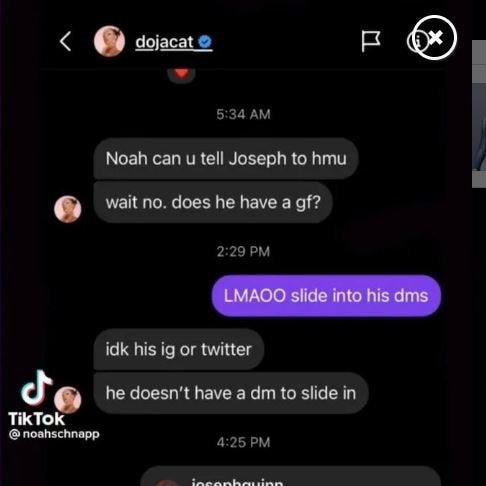 Schnapp shared the DMs on TikTok.