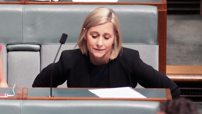 Susan Lamb resigned in Parliament last week. Picture: Gary Ramage