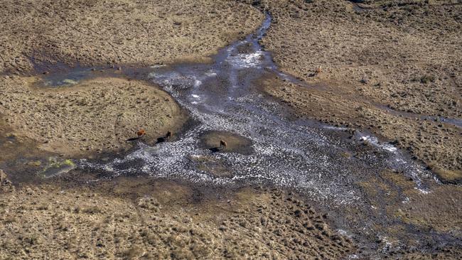 Example of ecological damage created by wild horses at Kosciuszko National Park. Picture: Supplied/ NPWS