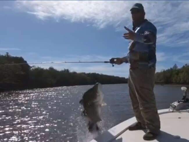 A huge barramundi comes close to jumping into JC'S Guided Sportfishing boat. Picture: JC'S Guided Sportfishing