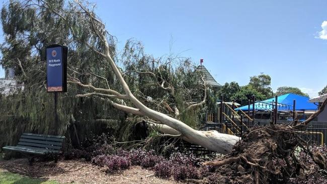 A tree crashes on to WR Musto Playground at Gore St, Parramatta. Picture: Parramatta SES