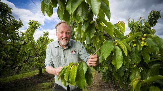 Andrew Griggs of Lucaston Park Orchards.. Picture: Richard Jupe