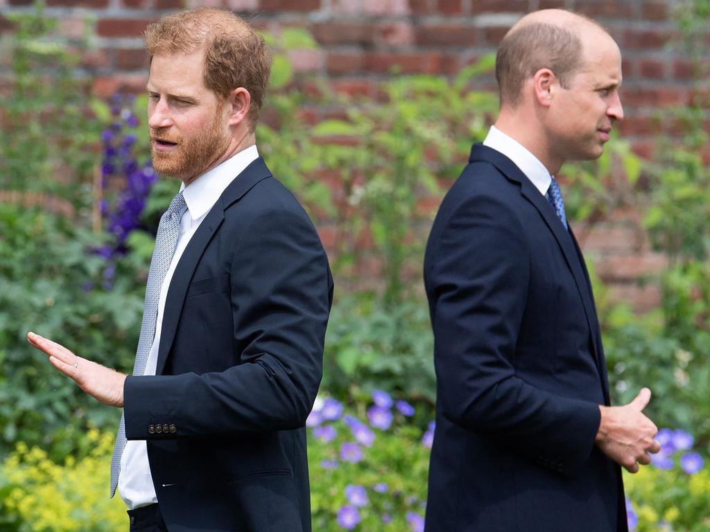 The massive gulf between Prince Harry and Prince William is on full display in the series. Picture: AFP