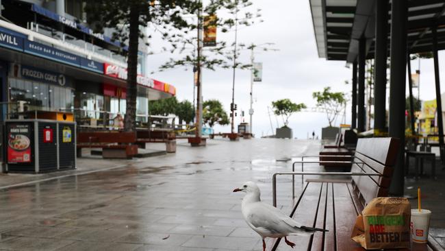 Empty Surfers Paradise. (Photo by Chris Hyde/Getty Images)