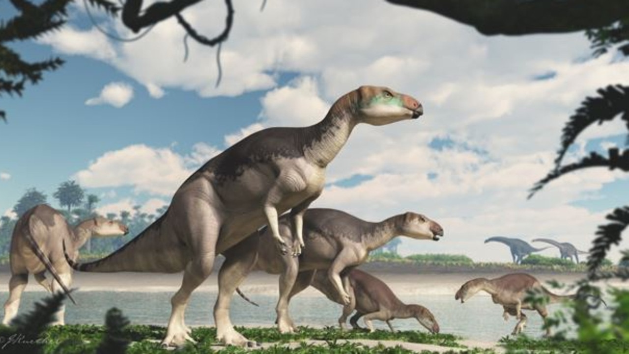 dinosaurs in the outback