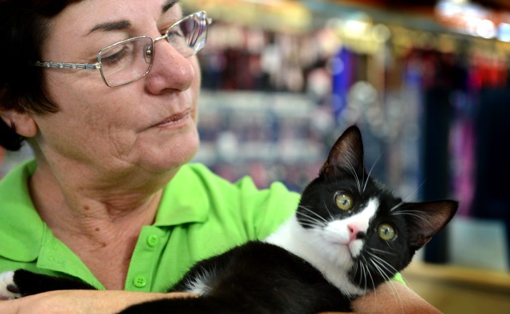 Friends of the pound cat adoption. Sonia Trichter with Wizzard. Picture: John Gass