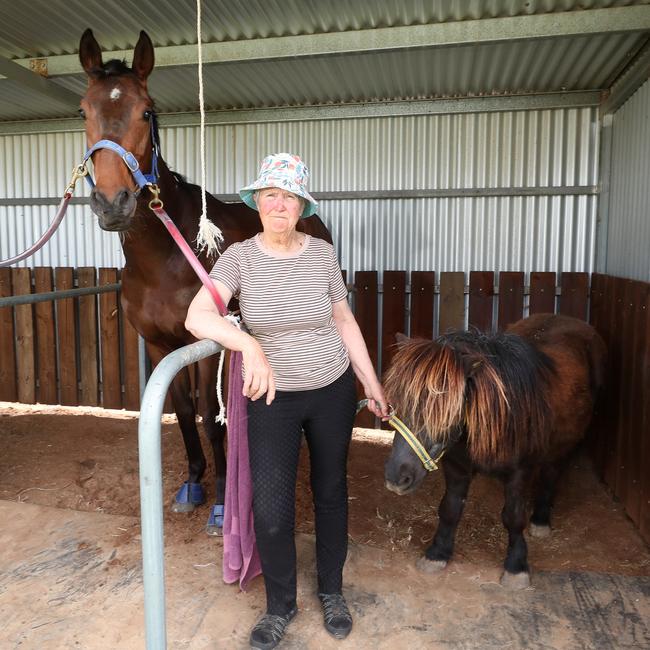 Ballarat trainer Julie Scott with her cup day winner Blaiken.