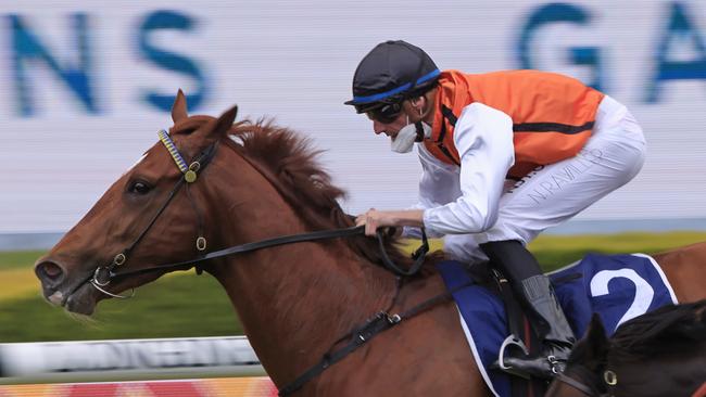 Ellsberg was impressive winning at Rosehill first-up. Picture: Getty Images