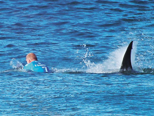 Mick Fanning takes on a shark while surfing in Jeffreys Bay in 2915. Picture: AFP/WSL