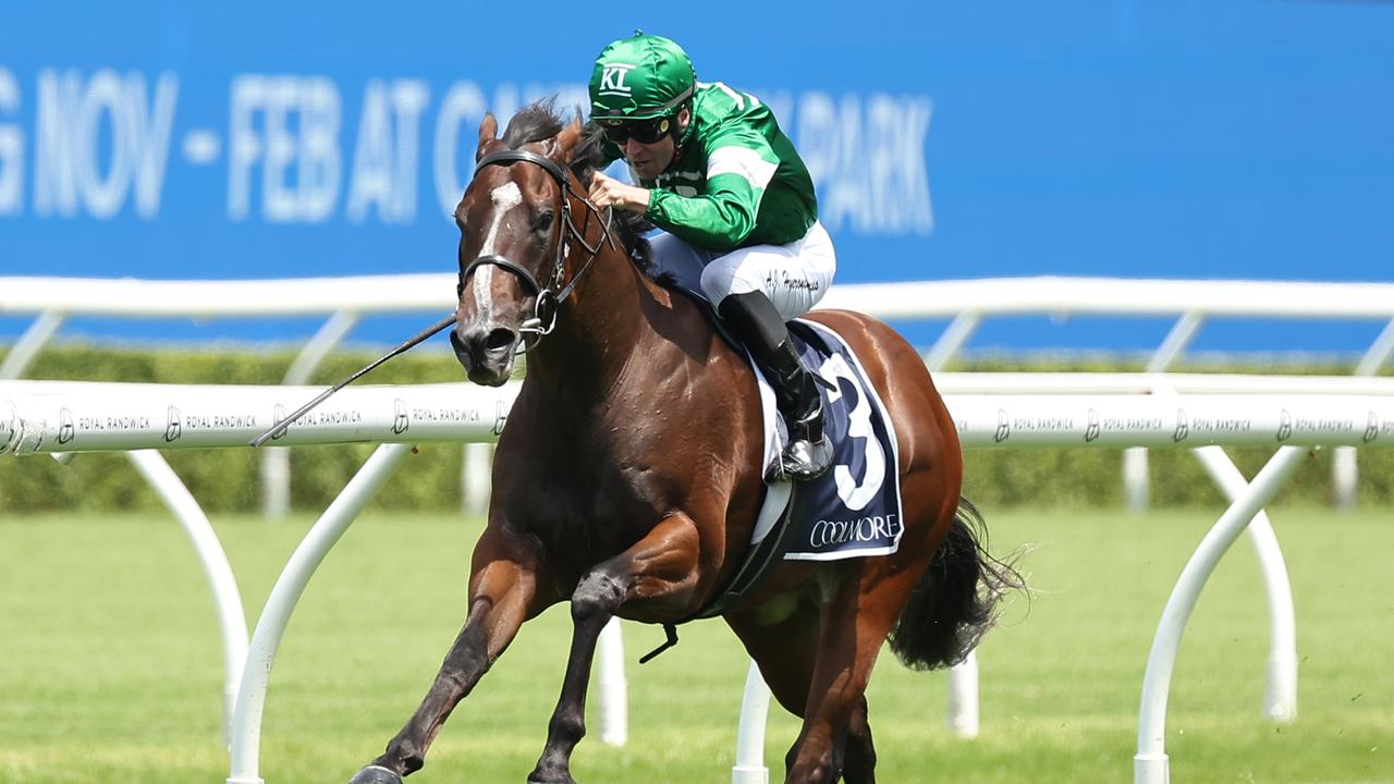 Shaggy made it a hat-trick of wins by claiming the Pierro Plate at Royal Randwick. Picture: Jeremy Ng/Getty Images