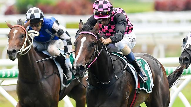 Rothfire could emerge as contender for the Golden Slipper. picture: AAP