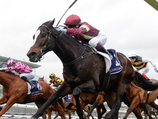 Gentleman Roy ridden by Celine Gaudray wins the Flemington Kentucky Bluegrass Handicap at Flemington Racecourse on August 03, 2024 in Flemington, Australia. (Photo by Brett Holburt/Racing Photos via Getty Images)