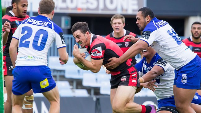 North Sydney Bears Curtis Johnston makes big return helping to thrash ...