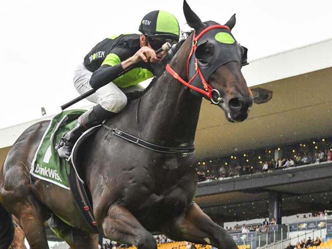 Private Eye wins the Festival Stakes at Rosehill Gardens on November 30, 2024. Picture: Bradley Photos
