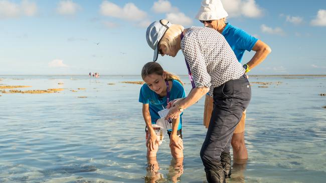 Coral Watch ambassador Elijah Richardson shows The University of Queensland Vice Chancellor Deborah Terry how to use a coral health colour chart at Heron Island. Picture: Nathan White Images