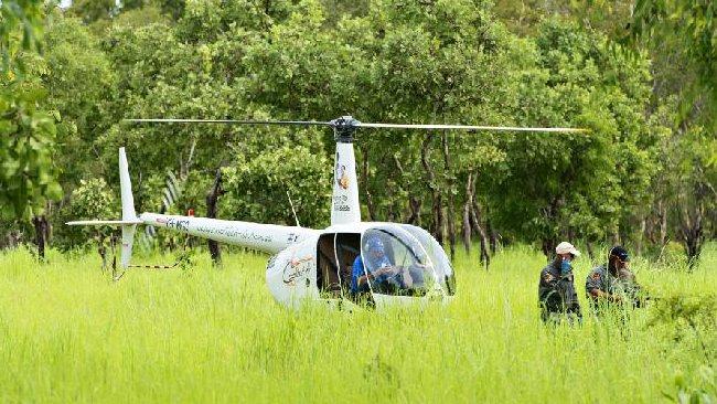 Helicopter search croc attack