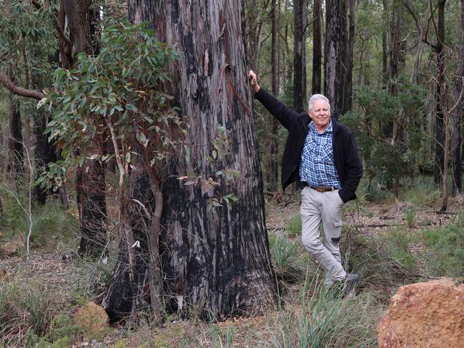 Forestry consultant John Clark says WA's jarrah trees were being sustainably harvested before the government's ban on native forest logging. Picture: Charlie Peel