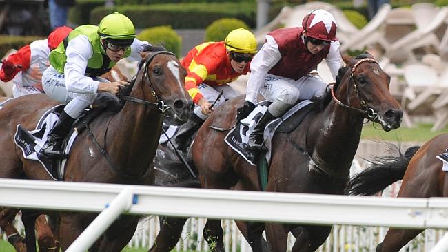 Mr Cha Cha (left) has form behind good horses and performs well on dead surfaces. Picture: Simon Bullard