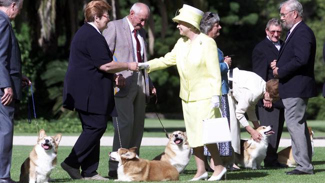 The Queen with members of Adelaide Hills Kennel Club (l-r) Ken Mansfield and dog Rocky, Cheryl Sheppard, and dog Jimmy, Harry Paynter and dog Bobby, Dee Paterson and dog Sophy, Colleen Webb and dog Wade, Wilf Purchase and dog Ruby and Bill Godfrey at Govenment House during royal visit to South Australia, February 2002.