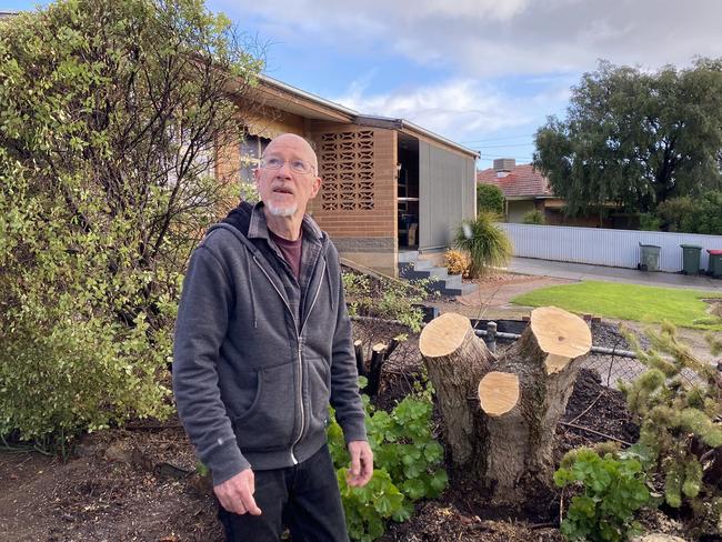 Resident Steven Laidlaw said he heard a loud explosion around 9.30pm. He stepped outside to find trees toppled over and power lines down. Picture: Gabriel Polychronis.