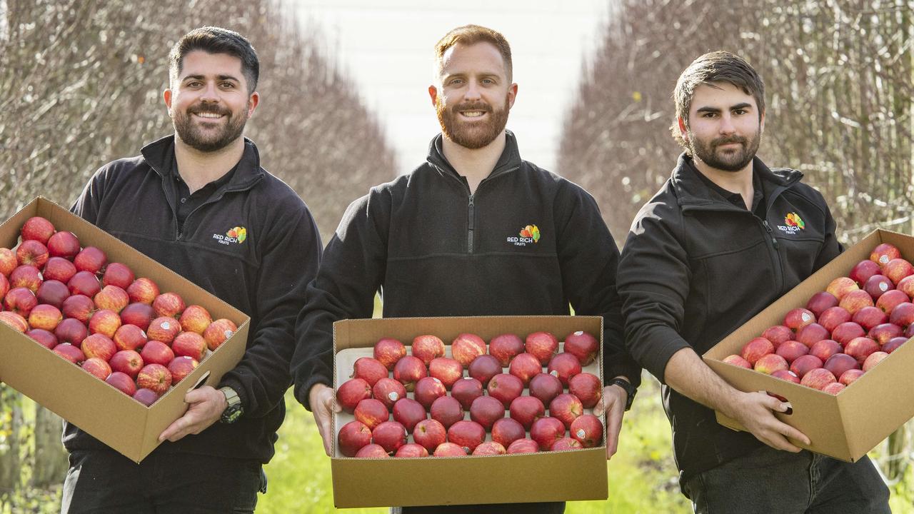 Cosmic Crisp ® Apples: Red Rich Fruits secures exclusive Australian rights