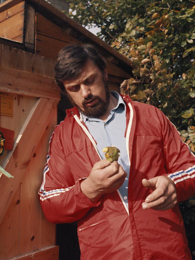 Capes was also a budgerigar breeder. Photo by Don Morley/Getty Images