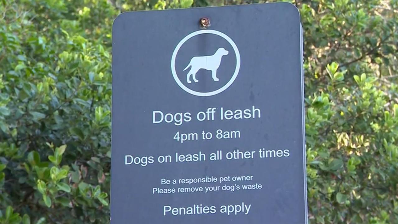 Sunshine Coast, Qld: Council bans dogs from Point Cartwright Reserve ...