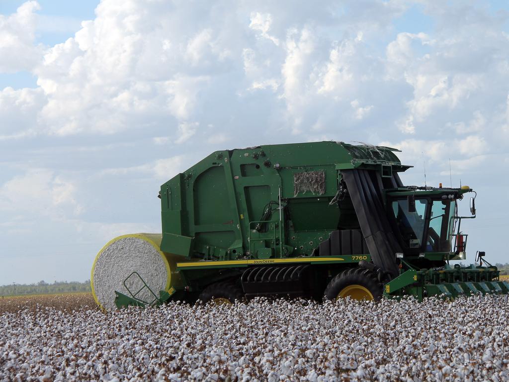 Harvesting in action at Codenwarra West. Photo: Kelly Butterworth / CQ News