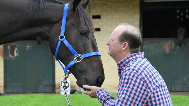 Trainer Gary Portelli and Slipper favourite 'She Will Reign' at his Warwick Farm stables. Please hold picture until next Friday, Slipper Eve, March 17