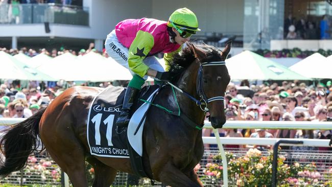 Knight's Choice ridden by Robbie Dolan on the way to the barriers prior to the running of  the Lexus Melbourne Cup at Flemington Racecourse on November 05, 2024 in Flemington, Australia. (Photo by George Sal/Racing Photos via Getty Images)